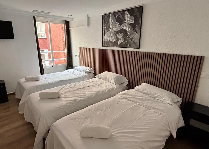 New Sanz توريمولينوس