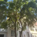 Ella Centro Otel 2*